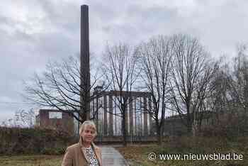 Vlaams parlementslid Joke Schauvliege pleit om elektricitei... (Evergem) - Het Nieuwsblad