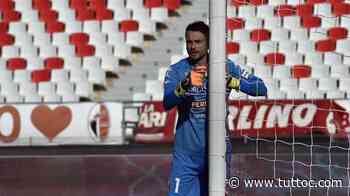 TC - Bari, Frattali: "Avellino e Catanzaro erano favorite ma i primi siamo noi" - Tutto Lega Pro