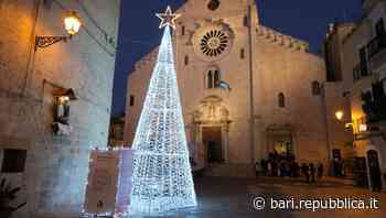 A Bari vecchia, davanti alla cattedrale, acceso l'albero di Natale del Gruppo Maldarizzi: "Segno di speranza" - La Repubblica