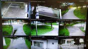 "Se le mettete ve le distruggiamo", minacce per le telecamere nella pineta di San Luca a Japigia. Il Comune: "Non ci piegheremo" - BariToday