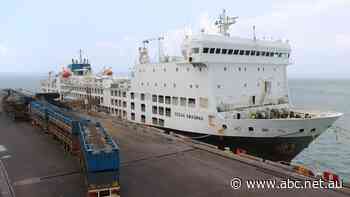 Cattle producers end year on record high as live export price continues to climb