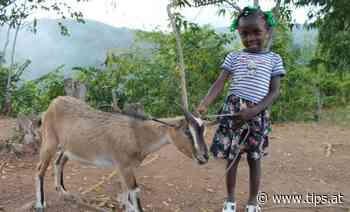 Pfarre Taufkirchen sammelt für Ora - Tips - Total Regional