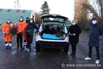Tientallen gezinnen maken ruimte voor bomen (Lebbeke) - Het Nieuwsblad