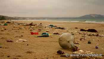 Transizione ecologica, qual è lo stato di salute dell’ambiente italiano? - Rinnovabili