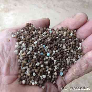 Transport industry fearful as AdBlue supplies run dangerously low - ABC News