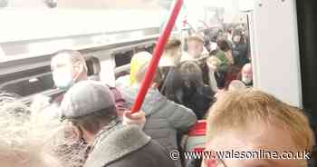 'Outrage' as passengers are packed into train carriages on Transport For Wales service - Wales Online