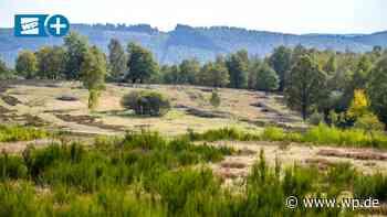 Siegen-Wittgenstein: Naturschutz-Ranger als „Politesse“? - Westfalenpost