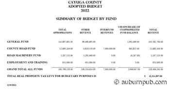 Cayuga County budget approved, with flat tax levy and lower salary for chair - The Citizen