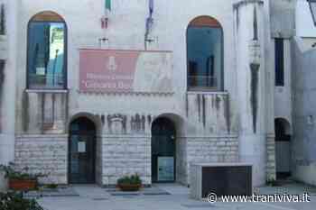 La crisi del covid-19 e il protagonismo degli anziani: incontro in biblioteca - TraniViva