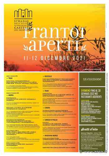 Andria, Barletta,Trani, Bisceglie,Canosa, Corato, Minervino: ​​​​​​​XX^ edizione "FRANTOI APERTI" - ANCI Puglia - Agenzia ANSA