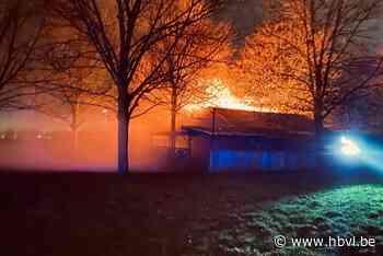 Lokaal van Zeescouting Pebbles uitgebrand in Ophoven - Het Belang van Limburg