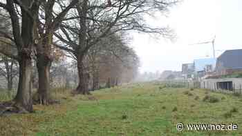 Wer in Papenburg ein Haus bauen will, braucht Glück – und Geduld - NOZ