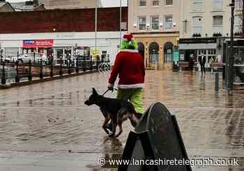 The Grinch and his dog spotted in Darwen - have you seen them?