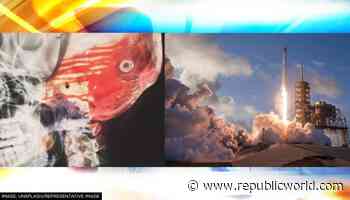 Aerospace engineers, neurosurgeons are not smarter than general population, claims study - Republic World