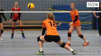 Volleyball Regionalliga Nord Frauen: 1. VC Parchim verliert bei VG WiWa Hamburg mit 0:3 Sätzen | svz.de - svz – Schweriner Volkszeitung