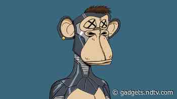 Bored Ape Yacht Club NFT Valued at $300,000 Sells for $3,000 Because of a Typo