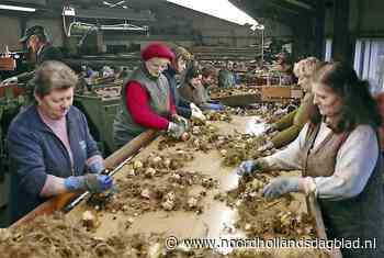 Toeristenbelasting om geld te halen bij buitenlandse werknemers is prima! - Noordhollands Dagblad