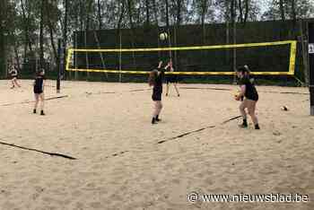 Tesla Lint wil beachvolleyterreinen voor lange termijn uitbaten - Het Nieuwsblad
