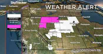 Fresh snow blankets Edmonton, surrounding areas amid snowfall warnings