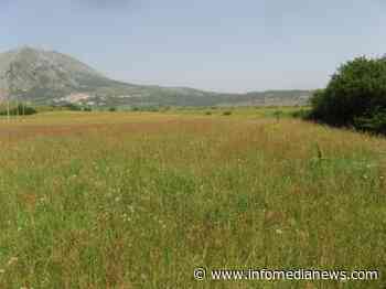 13 villette a Prato della Madonna, "no" della Stazione Ornitologica Abruzzese - Info Media News