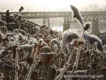 Edmonton weather: There was some snow, very strange enchanted snow, it fell a lot