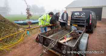 Bennekommers scoren een boom voor hun tuin of voedselbos - De Gelderlander