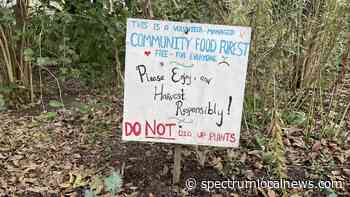 Austin food forest looking for volunteers, funding - Spectrum News