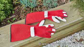 Kitchen Garden: A kitchen gardener's Christmas 2021 gift guide - The Canberra Times