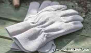 Kildare Gardening: Perfect Christmas presents for the gardener in your life - Kildare Now