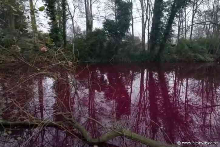 Gemeente staat voor raadsel nadat water paars kleurt, inwoners laten fantasie op hol slaan: “Heel bloederige moord”