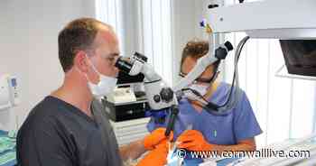 Dental crisis in Cornwall as people wait up to nine years to get NHS dentist - Cornwall Live