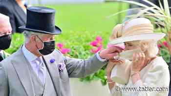 Prince Charles and the Duchess of Cornwall nod to pandemic era in surprising Christmas card - Tatler