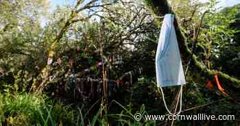 Cornwall's best waterfalls, caves and other wonders - Cornwall Live