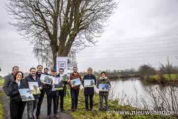 Gezocht: bomen met een geschiedenis of  unieke locatie