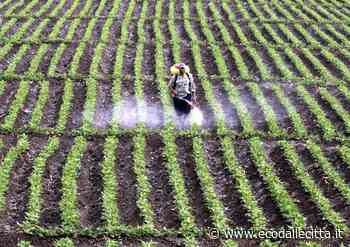 WWF: Rapporto ISPRA conferma che l'agricoltura è la prima responsabile dell'impatto ambientale in Italia - Eco dalle Città