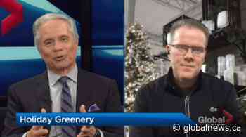 Great Gardens: Holiday greenery and winter tips for your yard