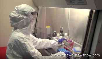 Hawaii reports 214 new coronavirus infections, no additional deaths - Hawaii News Now