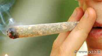 A Malta l'erba diventa legale: depenalizzato l'uso di droghe ricreative - Ck12 Giornale