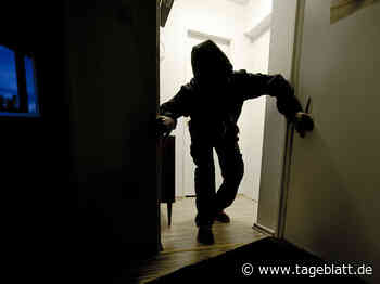 Einbrüche in Hammah und Stade - Blaulicht - Tageblatt-online