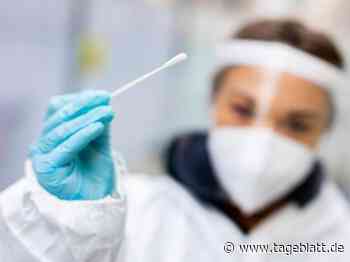 Warum die Inzidenz-Werte am Montag nicht stimmen - Landkreis Stade - Tageblatt-online