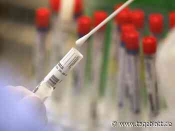 201 weitere Corona-Todesfälle in Deutschland - Landkreis Stade - Tageblatt-online