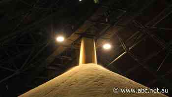 Australia win legal battle against India over sugar subsidies