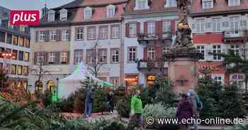 Heidelberg und der Geist der Weihnacht - Echo Online