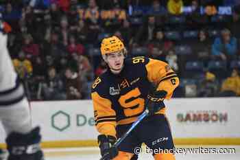 Oilers Fans Get Glimpse of Future With Bourgault at World Juniors - The Hockey Writers