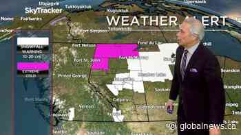 Edmonton weather forecast: Dec. 14, 2021 - Globalnews.ca