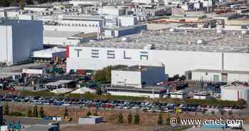 Tesla faces more lawsuits alleging sexual harassment at its Fremont factory     - CNET