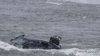 Car in Niagara Falls rescue attempt went over brink