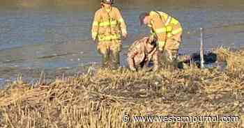 New Hampshire Firefighters Rescue Two Hunters and Dog Trapped in Mud Flats at Low Tide