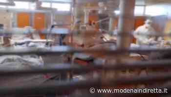 Asl Modena: “La variante Omicron arriverà: serve attenzione”. VIDEO - modenaindiretta.it
