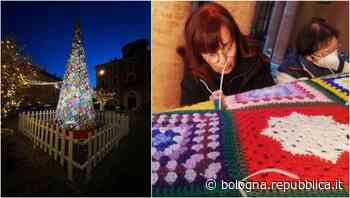 Alberi all'uncinetto: da Modena a Voltana, celebrare il Natale è un lavoro di squadra e pazienza - La Repubblica